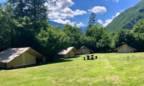Adrenaline Check Camping