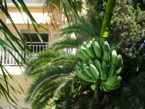 Apartamento Residence Veles Plage