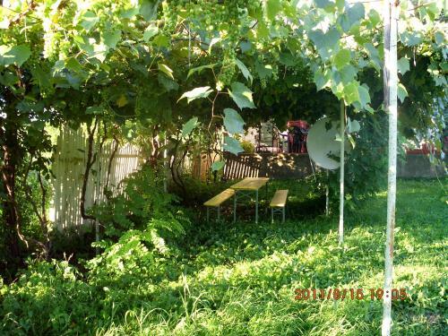 Agroturismo Pension La Bunica