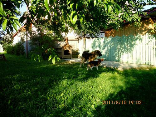 Agroturismo Pension La Bunica