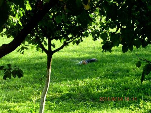 Agroturismo Pension La Bunica