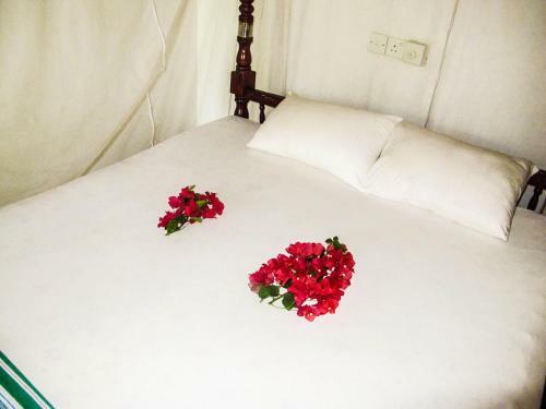 Hostal C-lanka Guest House