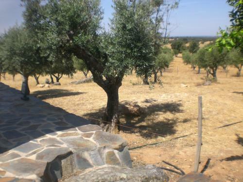 Agroturismo Tapada Da Eira E Chanca