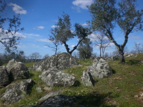 Agroturismo Tapada Da Eira E Chanca