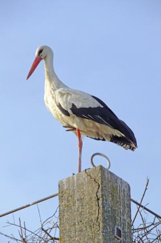 Agroturismo Tapada Da Eira E Chanca