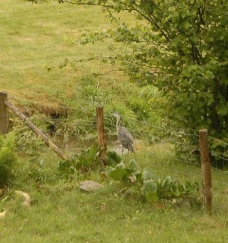Bed & Breakfast Le Clos Arbor� (g�te)