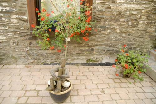 Bed & Breakfast Le Clos Arbor� (g�te)