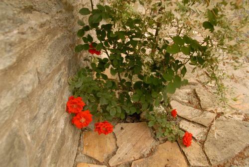 Bed & Breakfast Le Clos Arbor� (g�te)