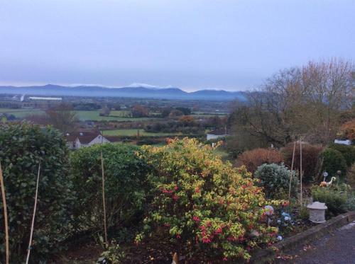 Bed & Breakfast Hollymount House