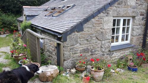 Borea Barn Vegetarian B&B