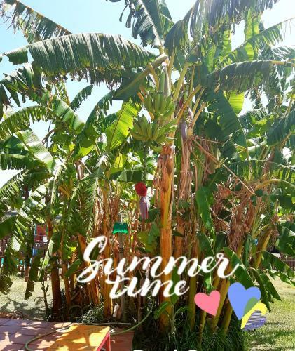 Agroturismo Karma House