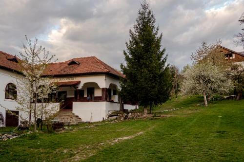 Hostal Surasul Muntelui