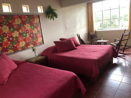 Hotel Constanza Villas & Club