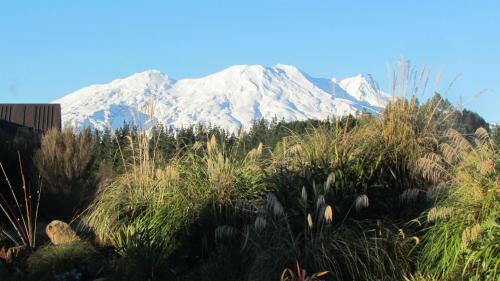 Bed & Breakfast Tongariro Suites