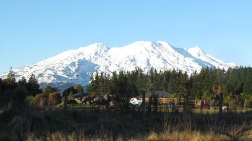 Bed & Breakfast Tongariro Suites