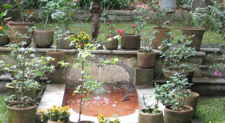 Casa Carmel Bed & Breakfast