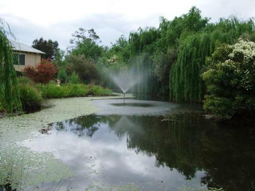 Agroturismo Mossbrook Country Estate Bed & Breakfast