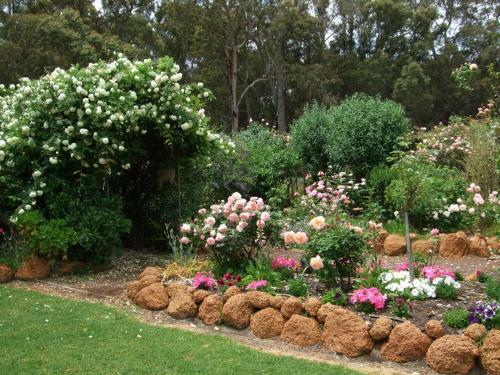 Agroturismo Mossbrook Country Estate Bed & Breakfast