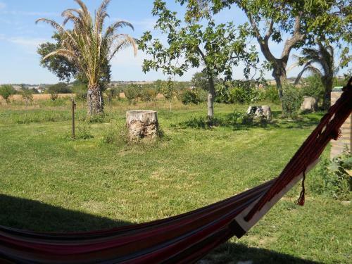 Hostal Bassar�