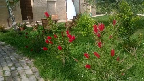 Hostal Bassar�
