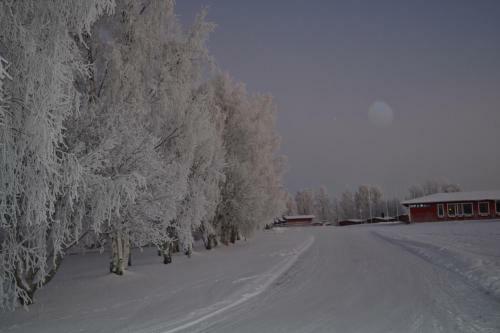 Napapiirin Saarituvat