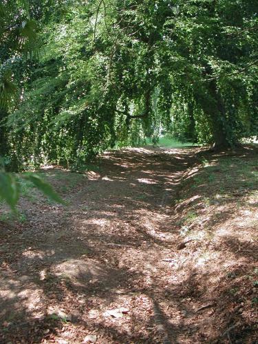 Bed & Breakfast Villa Cernigliaro
