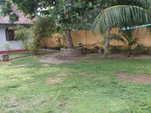 Nature Villa