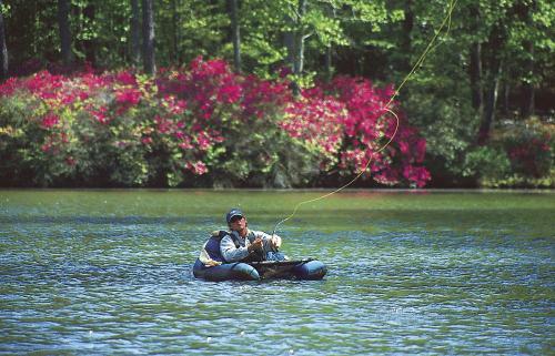 Hotel Callaway Gardens - Pine Mountain