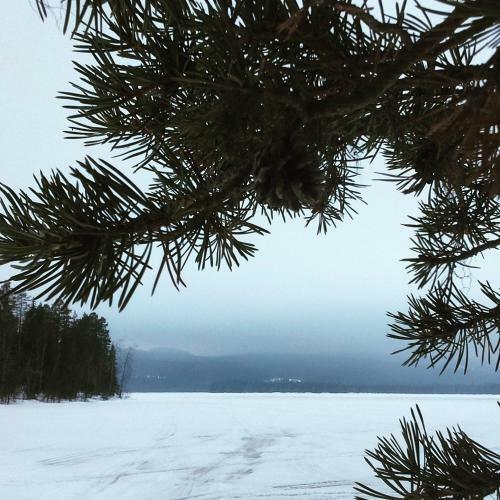 Aamuruskon Ukkola Cottage