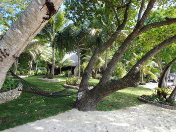 Hotel Paradise Cove Resort