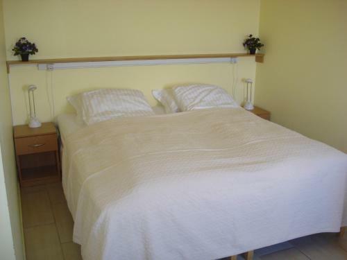 Hostal Vinland Guesthouse