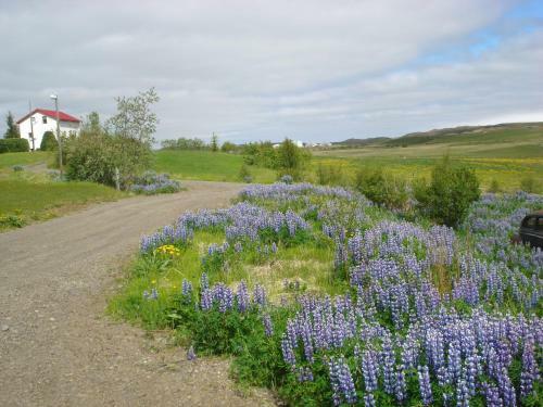 Hostal Vinland Guesthouse