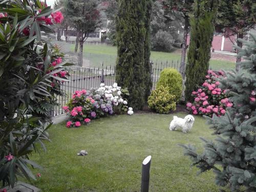 B&B I Viandanti