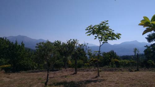 Agroturismo Agriturismo Collevento