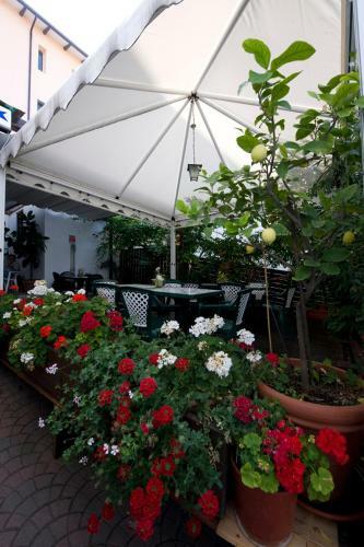 Hotel Albergo Stella