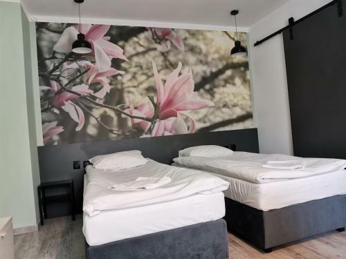 Apartamenty Jaskinia Solna