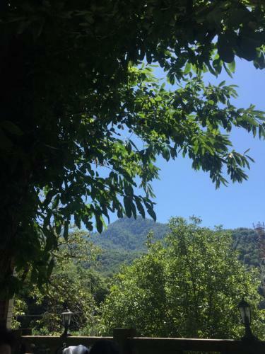 Hostal Kastana Hotel