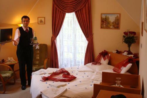 Hostal Penzi�n Zlat� Jele?