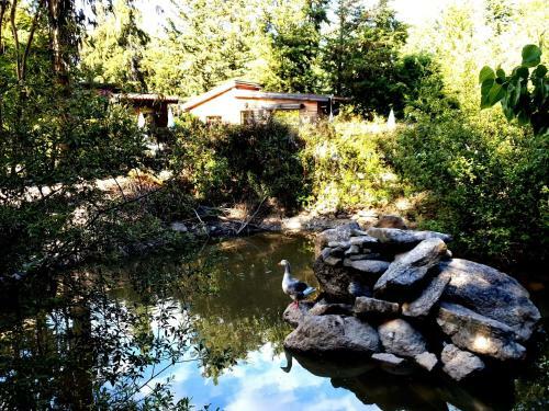 Agroturismo Quinta Sul America