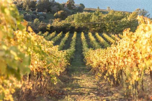 Apartamento Poggio San Giacomo