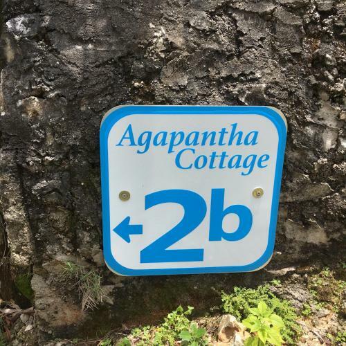 Bed & Breakfast Agapantha Cottage