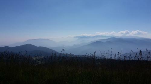Hotel Rifugio Verenetta