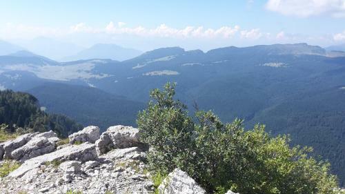 Hotel Rifugio Verenetta