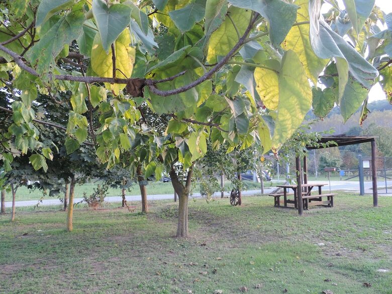 Agroturismo Agriturismo Isorella