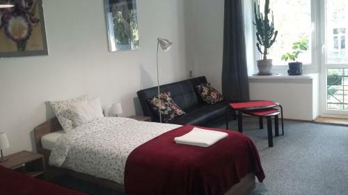 Hostal Animrumru