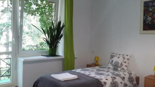 Hostal Animrumru