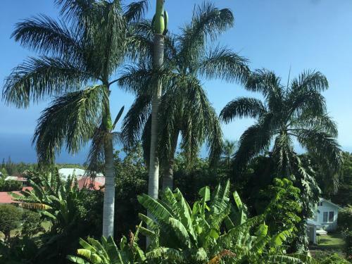 Bed & Breakfast Hotel Honokaa