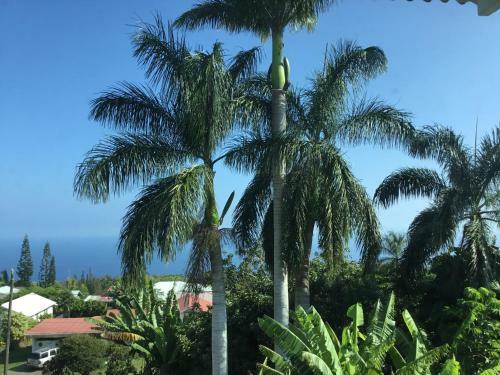 Bed & Breakfast Hotel Honokaa