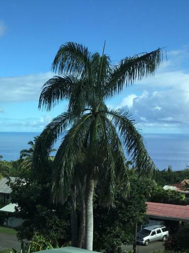 Bed & Breakfast Hotel Honokaa