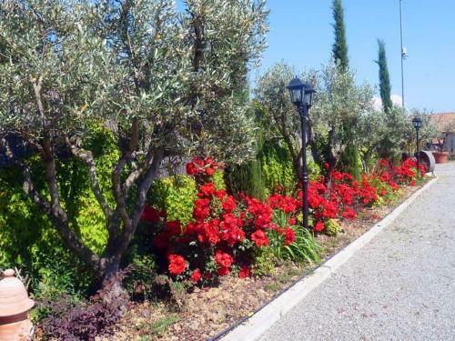 Agroturismo Albergo Arinde
